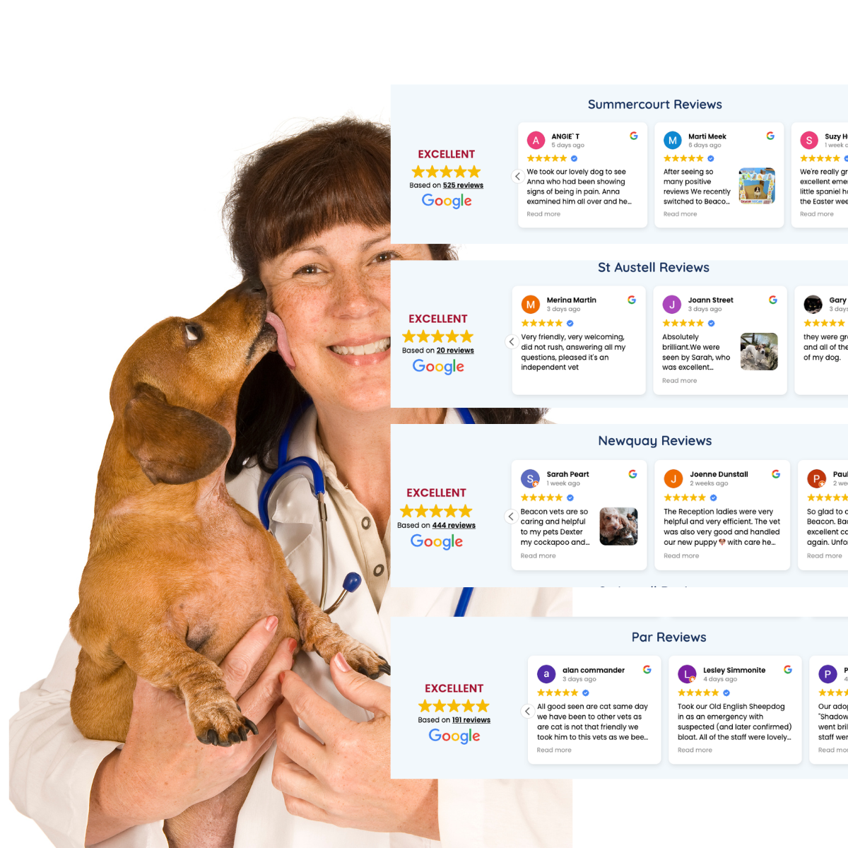 Beacon Vet Care Google reviews showing five-star rating and over 500 individual reviews.